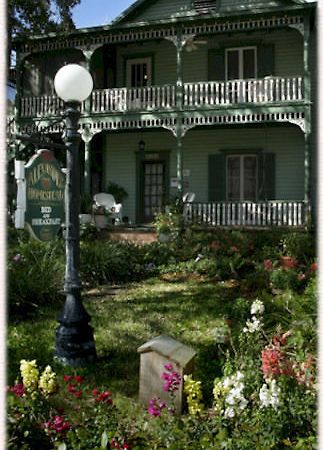 Alexander Homestead Bed And Breakfast St. Augustine Exteriör bild